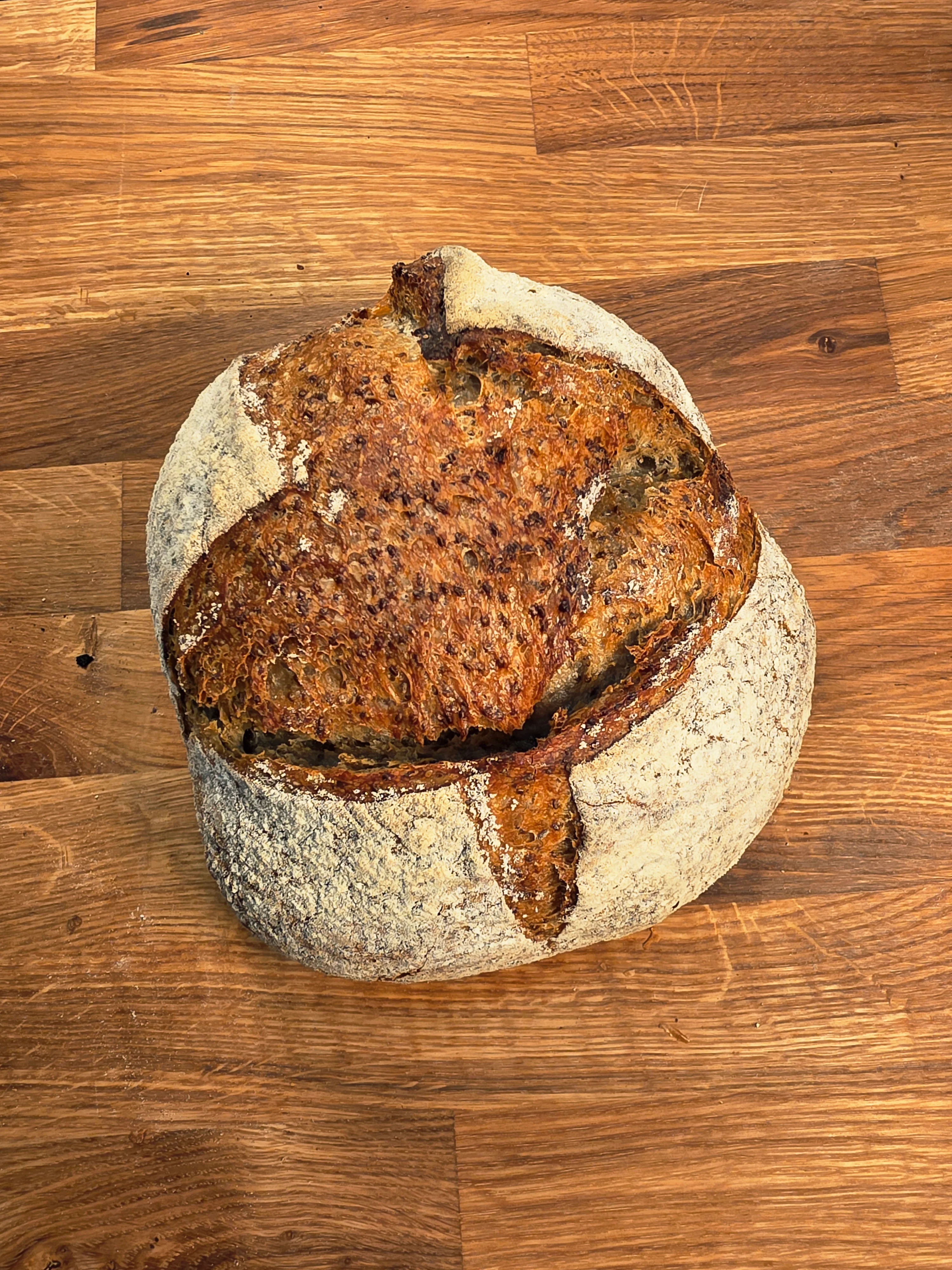 Graines de chia